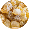Aflapin® Boswellia serrata
