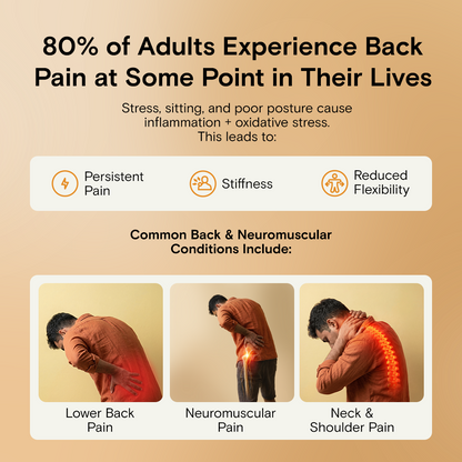 Bend Easy | Advanced Back & Muscle Support