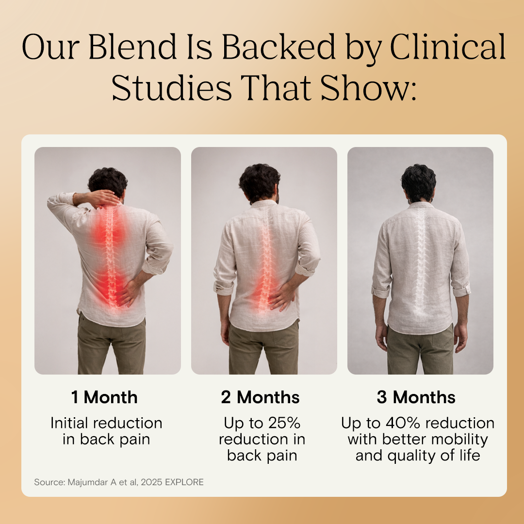 Bend Easy | Advanced Back & Muscle Support