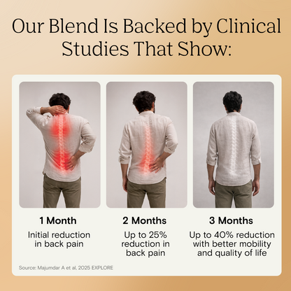 Bend Easy | Advanced Back & Muscle Support